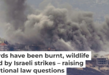 Smoke rises from Israeli airstrikes on southern Lebanese villages on Sept. 23, 2024. AP Photo / Hussein Malla